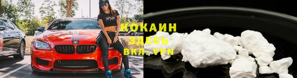 тгк Гатчина