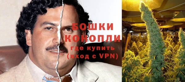 тгк Гатчина