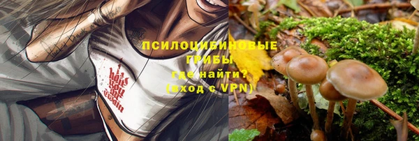 тгк Гатчина