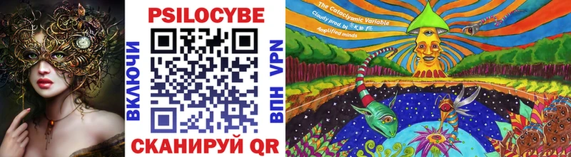 Купить  Добрянка  Псилоцибиновые грибы Magic Shrooms 